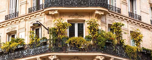 Création, diffusion et placement de contenus